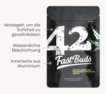 Samen 3x Purple Haze Automatik Fast Buds